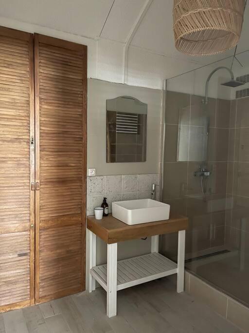 Bel Appartement Hermitage Les Bains サンジルレバン エクステリア 写真